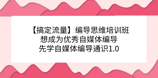 【搞定流量】编导思维培训班，想成为优秀自媒体编导先学自媒体编导通识1.0-甘南项目网