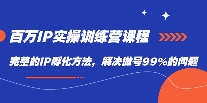 百万IP实战训练营课程，完整的IP孵化方法，解决做号99%的问题-甘南项目网