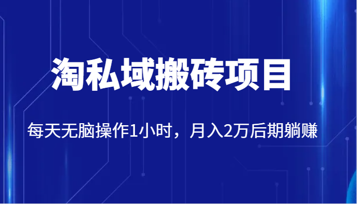 价值2980的淘私域搬砖项目，每天无脑操作1小时，月入2万后期躺赚-甘南项目网