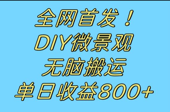 全网首发冷门赛道！DIY微景观，无脑搬运视频，日收益800+-甘南项目网