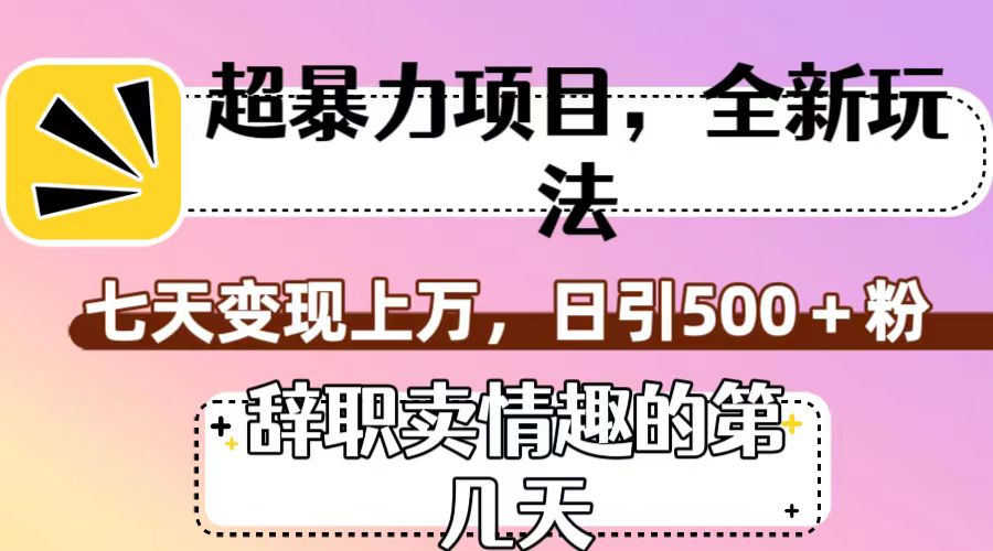 超暴利项目，全新玩法（辞职卖情趣的第几天），七天变现上万，日引500+粉-甘南项目网