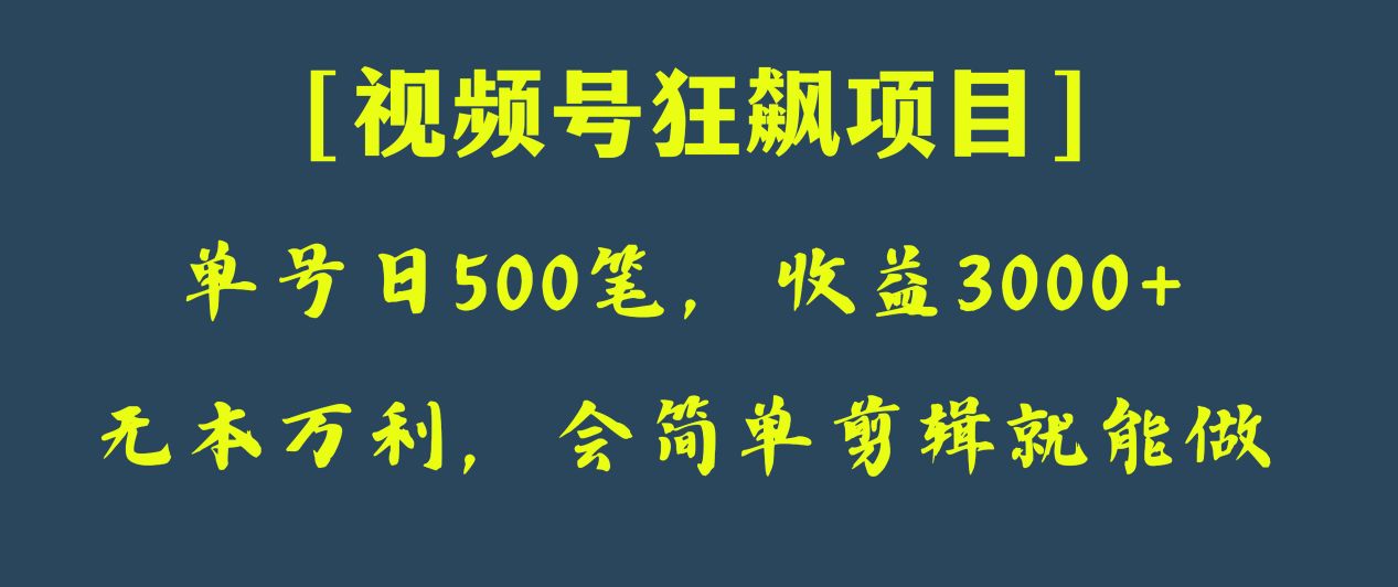 日收款500笔，纯利润3000+，视频号狂飙项目！-甘南项目网