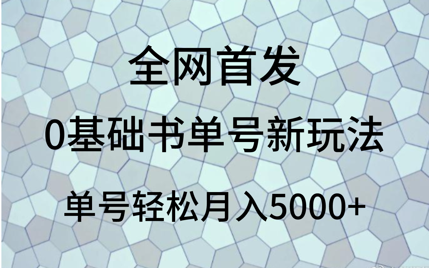 0基础书单号新玩法，操作简单，单号轻松月入5000+-甘南项目网