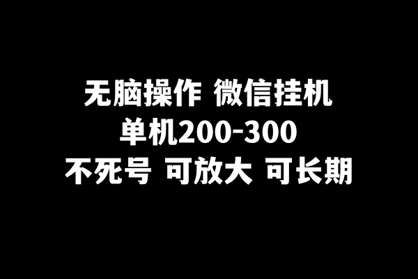 无脑操作微信挂机单机200-300一天，不死号，可放大-甘南项目网