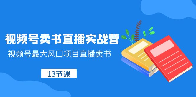 视频号卖书直播实战营，视频号最大风囗项目直播卖书（13节课）-甘南项目网