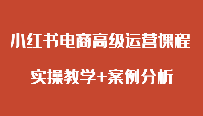 小红书电商高级运营课程 实操教学+案例分析-甘南项目网