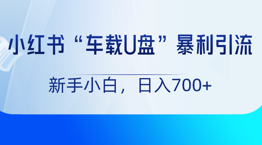 小红书“车载U盘”项目，暴利引流，新手小白轻松日入700+-甘南项目网