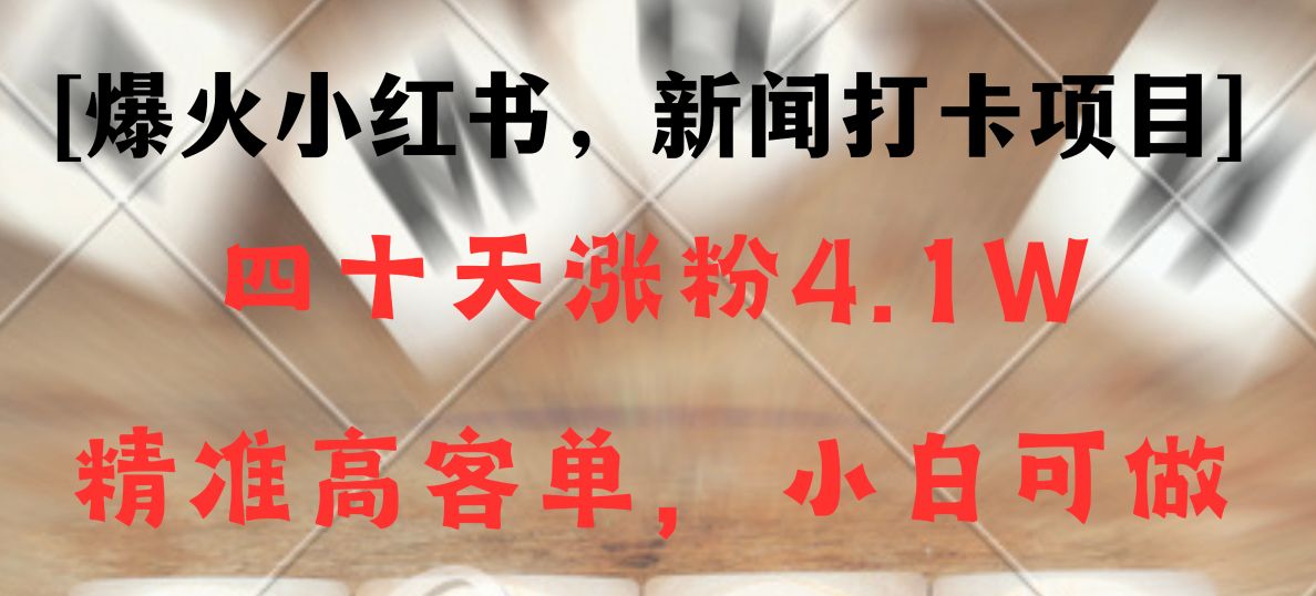 新闻打卡项目，小红书40天涨粉4.1w，高客单精准粉，变现能力超强-甘南项目网