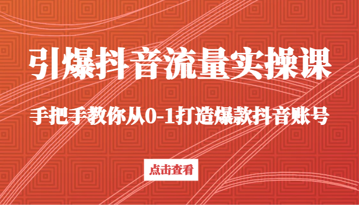 引爆抖音流量实操课，手把手教你从0-1打造爆款抖音账号（27节课）-甘南项目网