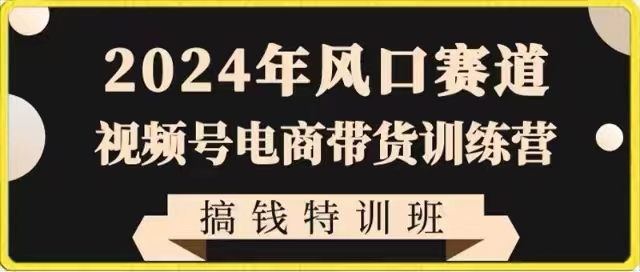 2024年风口赛道视频号电商带货训练营搞钱特训班，带领大家快速入局自媒体电商带货-甘南项目网