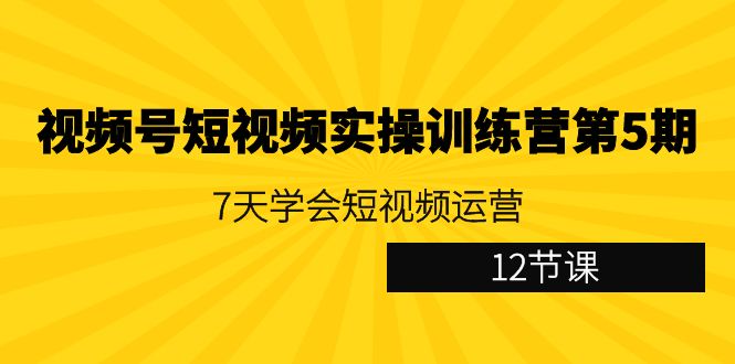 视频号短视频实操训练营第5期：7天学会短视频运营（12节课）-甘南项目网