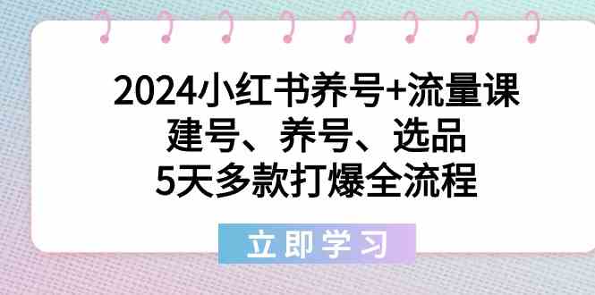 2024小红书养号+流量课：建号、养号、选品，5天多款打爆全流程-甘南项目网