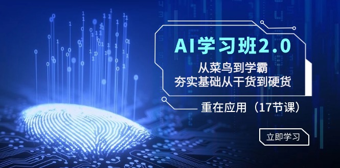 AI学习班2.0：从菜鸟到学霸，夯实基础从干货到硬货，重在应用（17节课）-甘南项目网