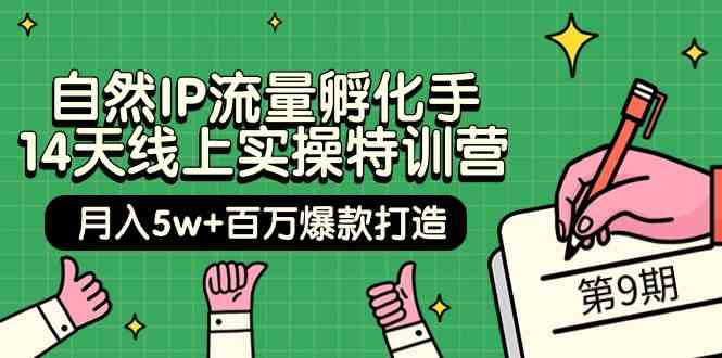 自然IP流量孵化手14天线上实操特训营【第9期】月入5w+百万爆款打造 (74节)-甘南项目网