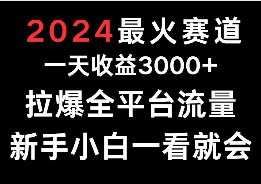 2024最火赛道，一天收一3000+.拉爆全平台流量，新手小白一看就会-甘南项目网