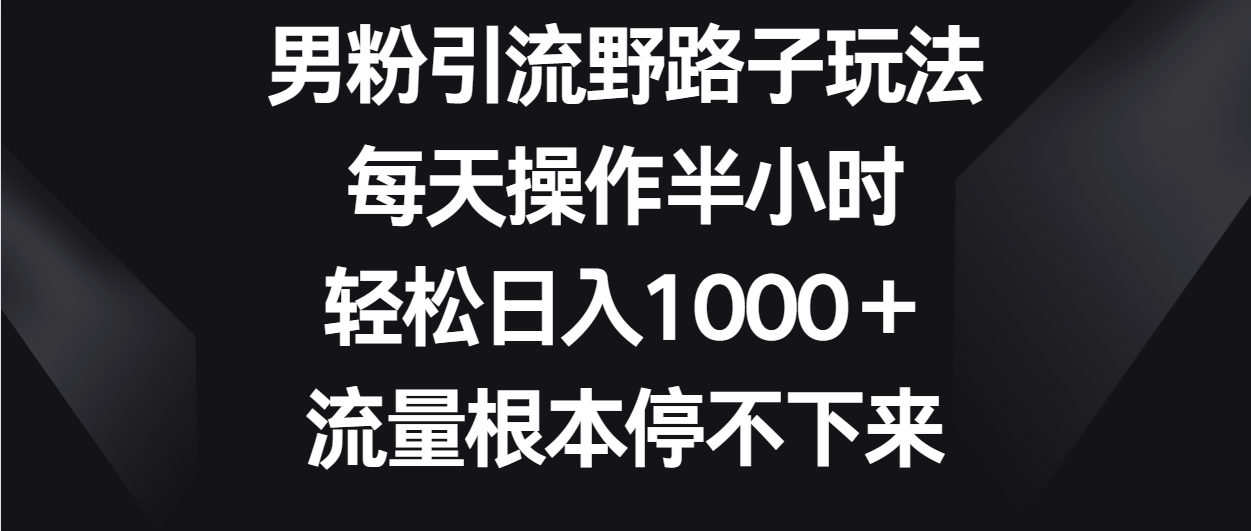 男粉引流野路子玩法，每天操作半小时轻松日入1000＋，流量根本停不下来-甘南项目网