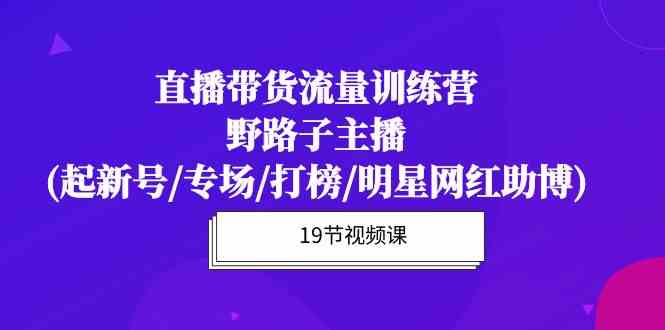 直播带货流量特训营，野路子主播(起新号/专场/打榜/明星网红助博)-甘南项目网