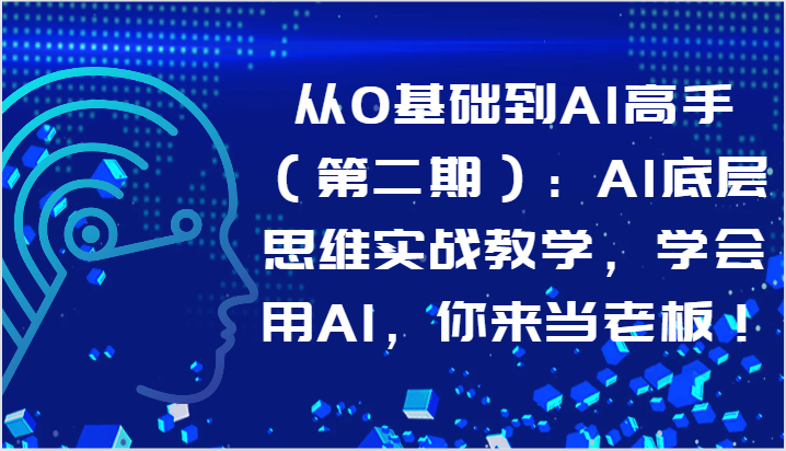 从0基础到AI高手（第二期）：AI底层思维实战教学，学会用AI，你来当老板！-甘南项目网