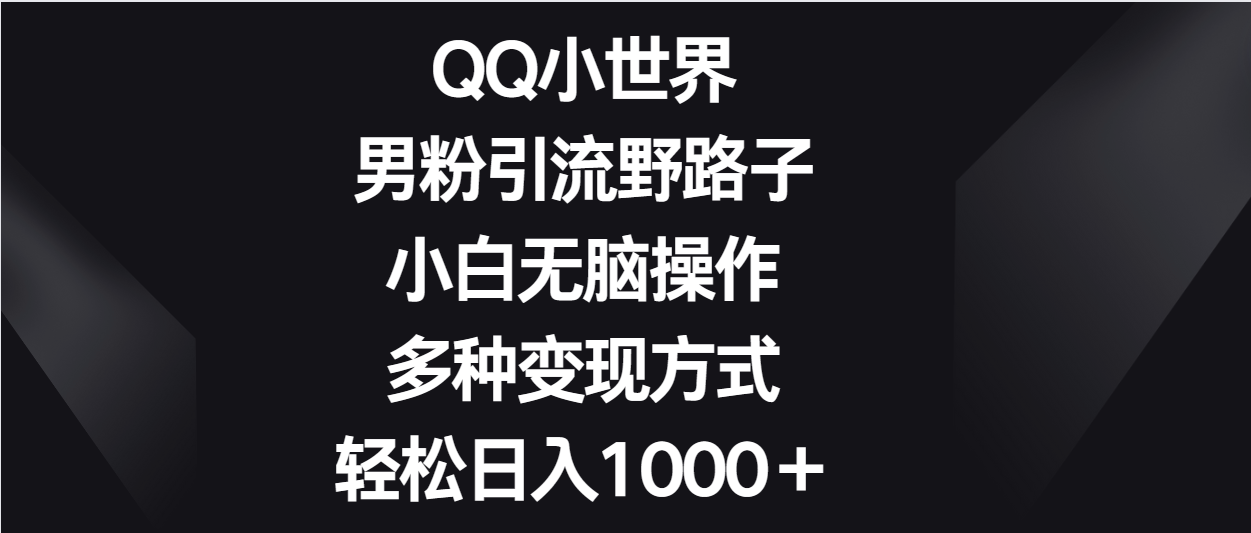 QQ小世界男粉引流野路子，小白无脑操作，多种变现方式轻松日入1000＋-甘南项目网