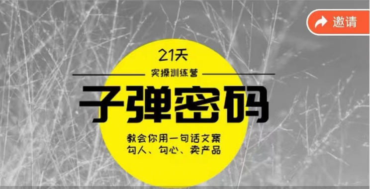 《子弹密码训练营》用一句话文案勾人勾心卖产品，21天学到顶尖文案大师策略和技巧-甘南项目网