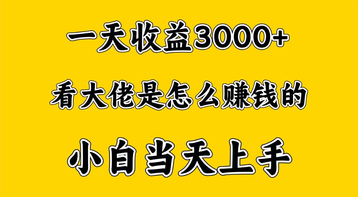 一天赚3000多，大佬是这样赚到钱的，小白当天上手，穷人翻身项目-甘南项目网