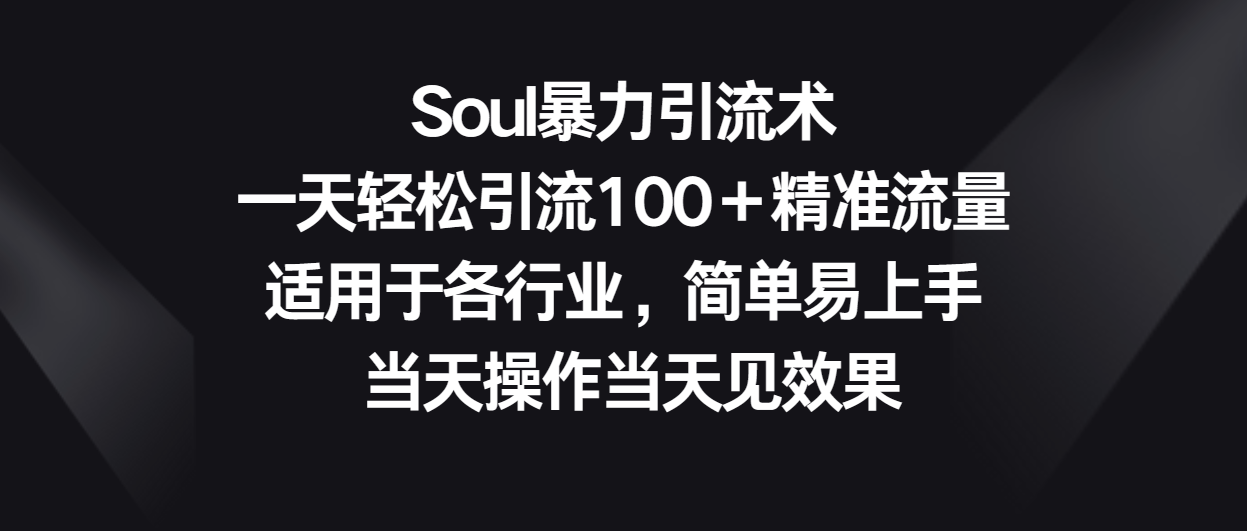 Soul暴力引流术，一天轻松引流100＋精准流量，适用于各行业，简单易上手！-甘南项目网