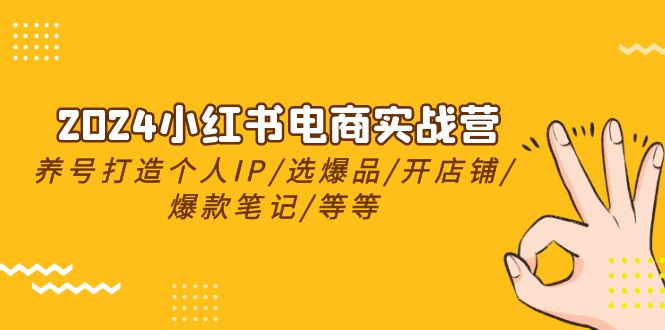 2024小红书电商实战营，养号打造IP/选爆品/开店铺/爆款笔记/等等（24节）-甘南项目网