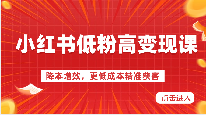 小红书低粉高变现课-降本增效，更低成本精准获客，小红书必爆的流量密码-甘南项目网