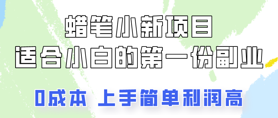 蜡笔小新项目拆解，0投入，0成本，小白一个月也能多赚3000+-甘南项目网