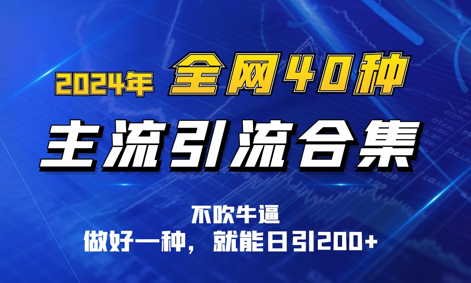 2024年全网40种暴力引流合计，做好一样就能日引100+-甘南项目网