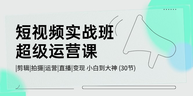 短视频实战班超级运营课 |剪辑|拍摄|运营|直播|变现 小白到大神 (30节)-甘南项目网