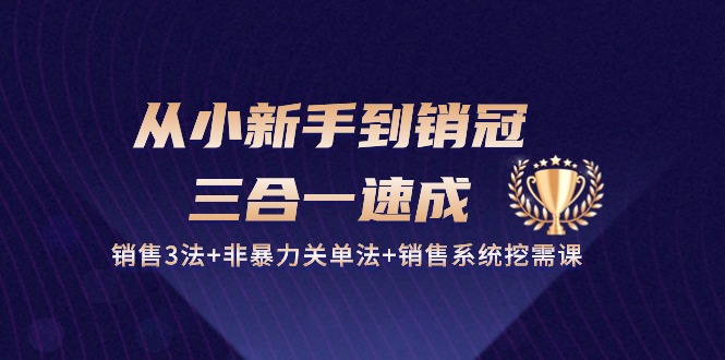 从小新手到销冠三合一速成：销售3法+非暴力关单法+销售系统挖需课 (27节)-甘南项目网