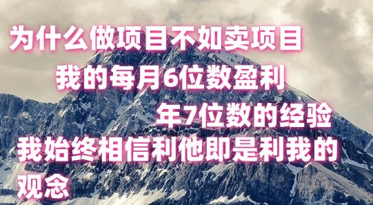 做项目不如卖项目，每月6位数盈利，年7位数经验-甘南项目网