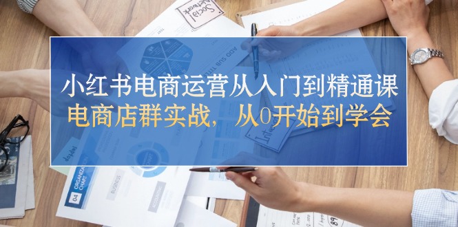 小红书电商运营从入门到精通课，电商店群实战，从0开始到学会-甘南项目网