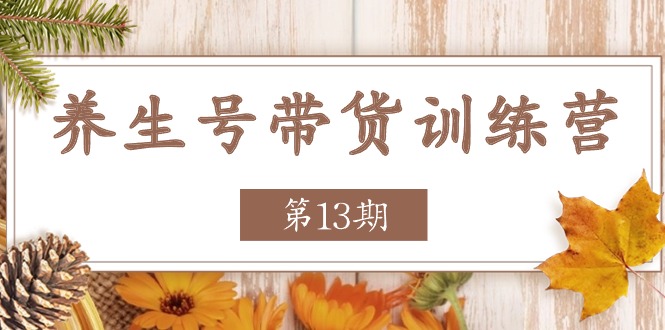 养生号带货训练营【第13期】收益更稳定的玩法，让你带货收益爆炸-甘南项目网