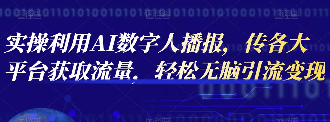 实操利用AI数字人播报，传各大平台获取流量，轻松无脑引流变现-甘南项目网