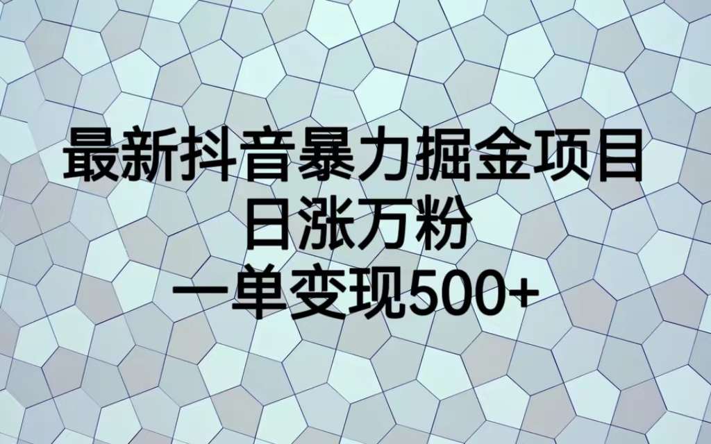 最新抖音暴力掘金项目，日涨万粉，一单变现500+-甘南项目网