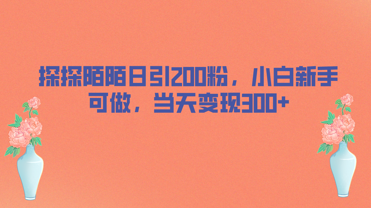 探探陌陌日引200粉，小白新手可做，当天就能变现300+-甘南项目网