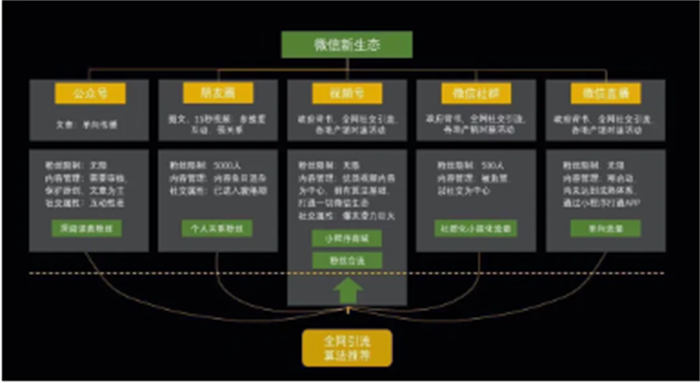 视频号1小时涨100粉经验，人人都能复制-甘南项目网