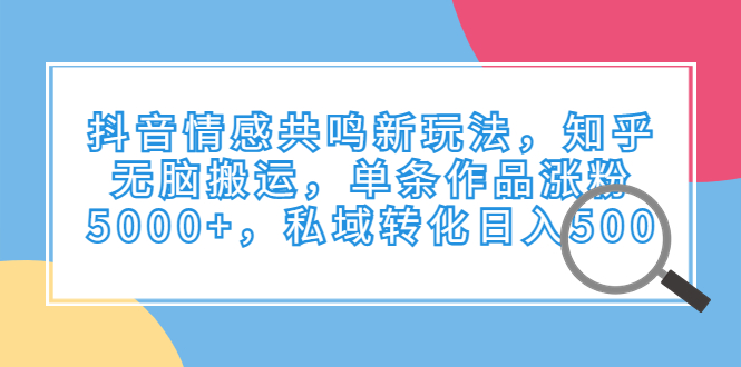 抖音情感共鸣新玩法，知乎无脑搬运，单条作品涨粉5000+，私域转化日入500-甘南项目网